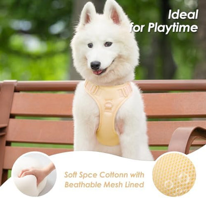 Sunraymascota No Pull Dog Harness - Image 6