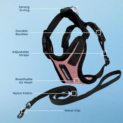 Voyager Step-in Lock Cat Harness & Leash Set - Image 3