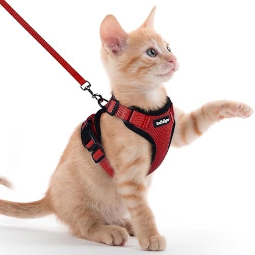 rabbitgoo Cat Harness and Leash Set, Escape Proof Vest by rabbitgoo