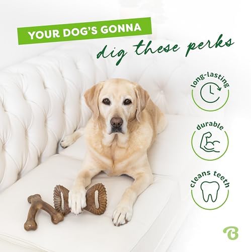 Benebone Wishbone/Dental Durable Dog Chew Toys, Real Bacon - Image 3