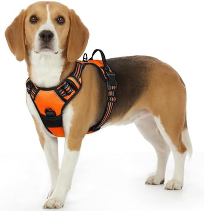 Eagloo Dog Harness for Small Dogs, No Pull Pet Vest by GoExplorewithEagloo