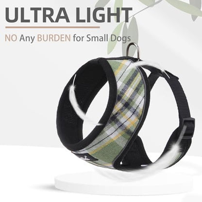 PUPTECK Small Dog Harness and Leash Set No Pull - Image 5