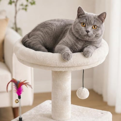 YUNIQUE Small Cat Tree for Indoor Cats, Cat Tower - Image 6