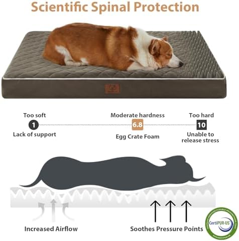 WNPETHOME Orthopedic Waterproof Dog Bed Medium - Image 3