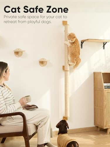 FUKUMARU Cat Wall Scratcher - Image 5