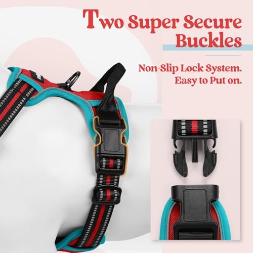rabbitgoo Dog Harness, No Pull Medium Sized - Image 3