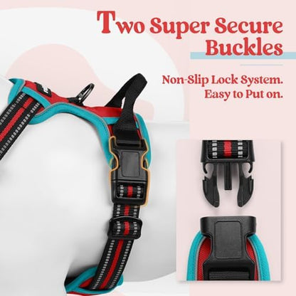 rabbitgoo Dog Harness, No Pull for Small Dogs - Image 3