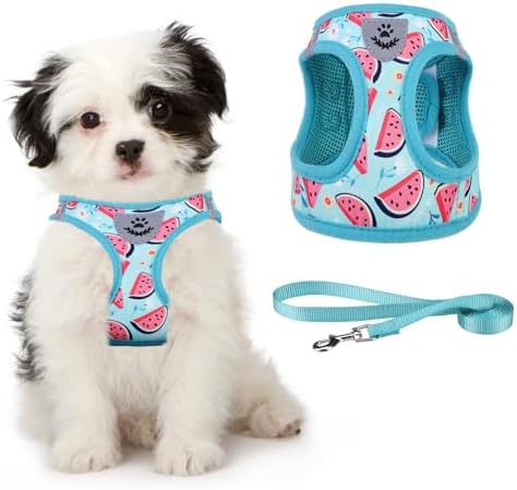 KOOLTAIL Dog Harness and Leash Set by KOOLTAIL
