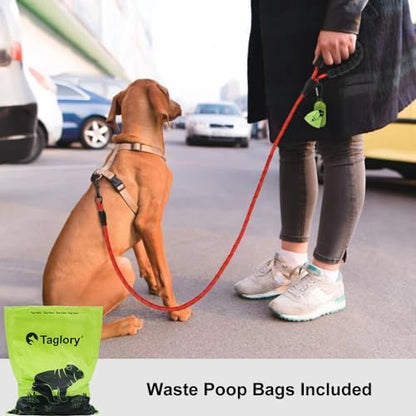 Taglory Rope Dog Leash for Small Medium Dogs, 5 FT Padded Handle - Image 2