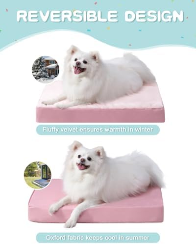KSIIA Orthopedic Dog Bed for Small Dogs - Image 4