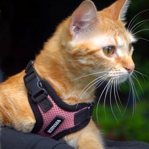 Voyager Step-in Lock Cat Harness & Leash Set - Image 6