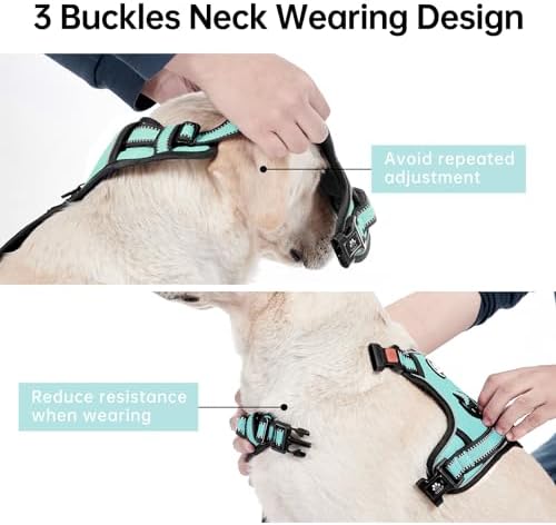 IVY&LANE No Pull Dog Harness for Small Dogs, Reflective Dog Vest Harness - Image 4