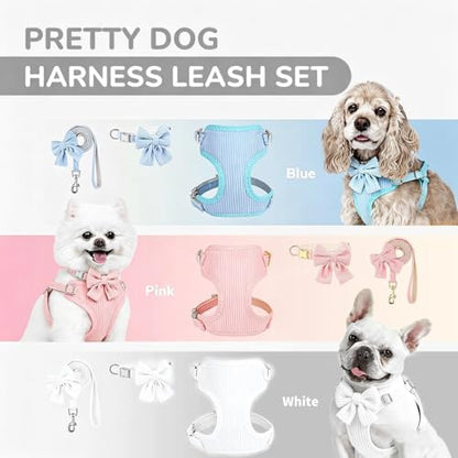 Small Dog Collar Harness and Leash Set - Image 7