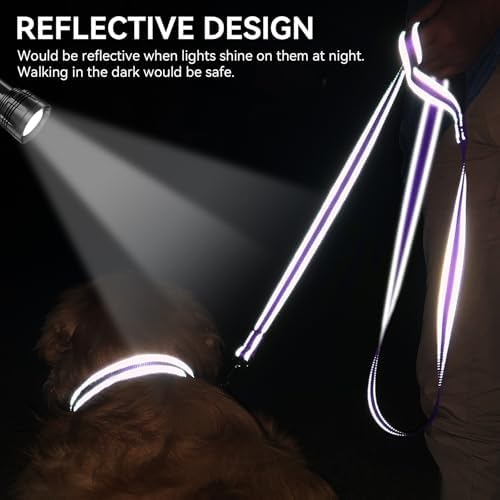 Joytale Reflective Dog Leash for Small Dogs, 5 FT x 3/4" - Image 4