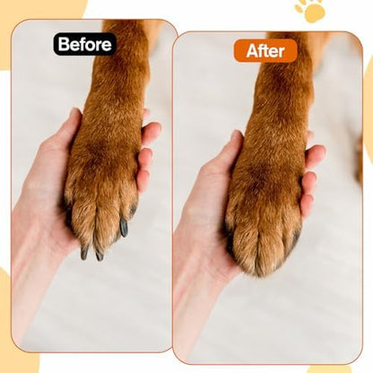 Dog Nail File with Replaceable Filing Disc Dog Nail File Scratch Board - Image 3