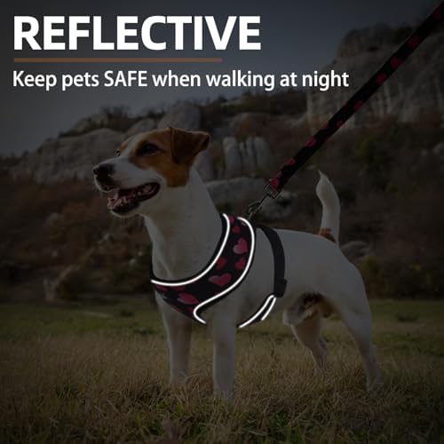 PUPTECK Small Dog Harness and Leash Set No Pull - Image 6