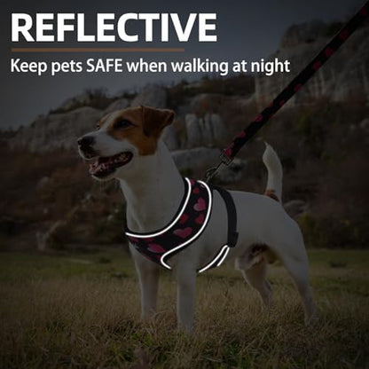 PUPTECK Small Dog Harness and Leash Set No Pull - Image 6