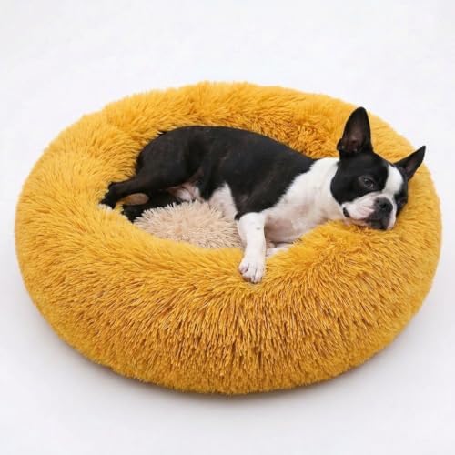 nononfish Cozy Donut Dog Bed for Small Dogs, Gradient Purple Plush Bed by nononfish