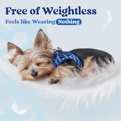 rabbitgoo Step-in Small Dog Harness, Puppy Vest - Image 5