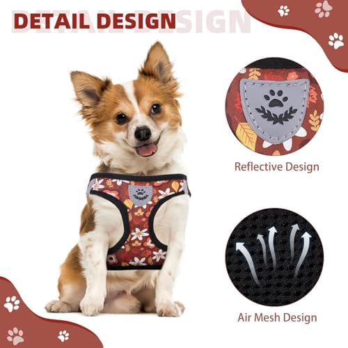 KOOLTAIL Fall Dog Harness and Leash Set - Image 4