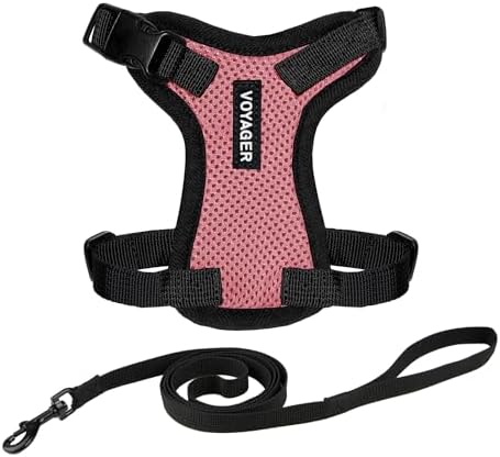 Voyager Step-in Lock Cat Harness & Leash Set by BestPetSuppliesLLC