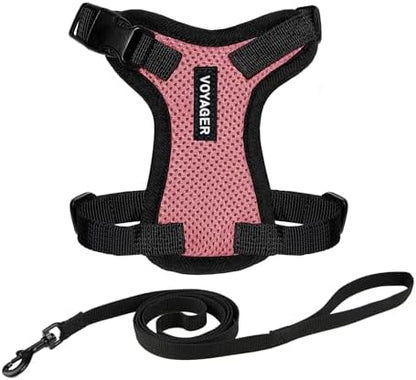 Voyager Step-in Lock Cat Harness & Leash Set by BestPetSuppliesLLC