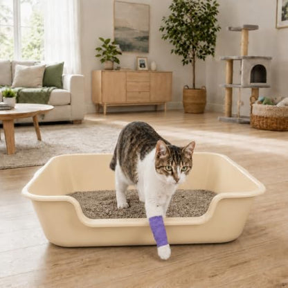 Extra Large Low Entry ABS Cat Litter Box, 1 Pack - Image 4