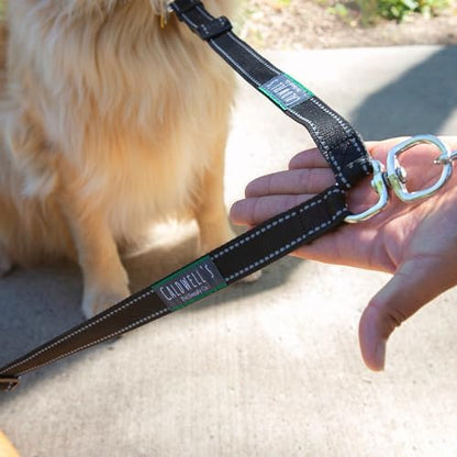 Caldwell's Pet Supply Co. Leash Coupler, Two Dog Leash Splitter to Split Leashes - Image 6