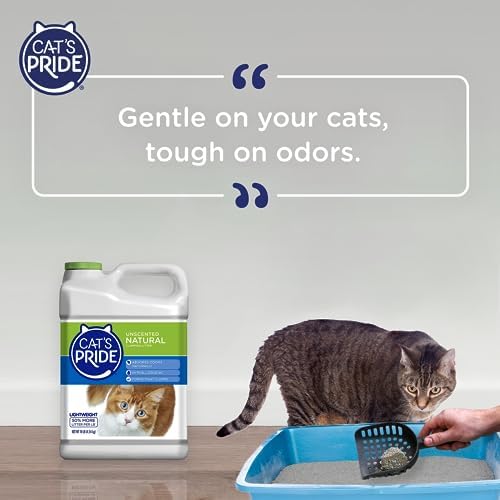 Cat's Pride Natural Lightweight Hypoallergenic Clumping Litter 10lb - Image 6