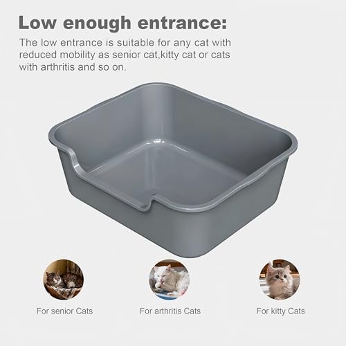 Extra Large Low Entry ABS Cat Litter Box, 1 Pack - Image 2