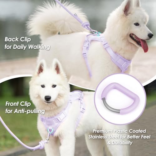 Sunraymascota No Pull Dog Harness - Image 3
