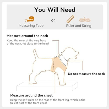 Joytale Step-in Dog Harness, Soft Breathable Mesh - Image 5