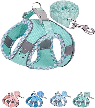 Petank Dog Harness for Small Medium Dogs No Pull, Puppy Harness and Leash Set by PetankCareforEveryPaw