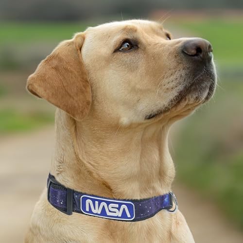 Pets First NASA Dog Leashes and Collars - Image 5