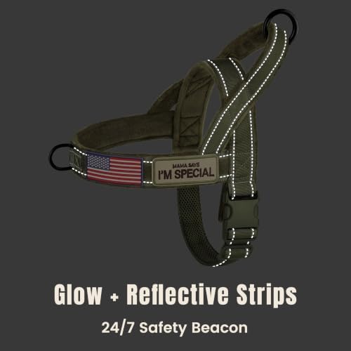 Forestpaw No Pull Dog Harness - Image 6