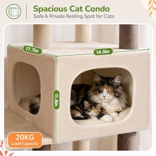 Globlazer Heavy Duty Cat Tree for Large Cats, 25.5in Wide Top Perch - Image 4
