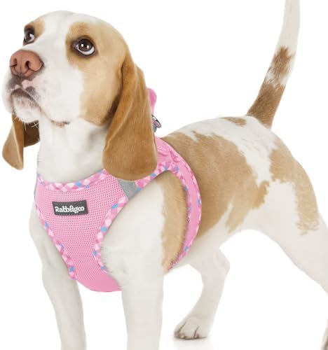 rabbitgoo Step-in Small Dog Harness, Puppy Vest by rabbitgoo
