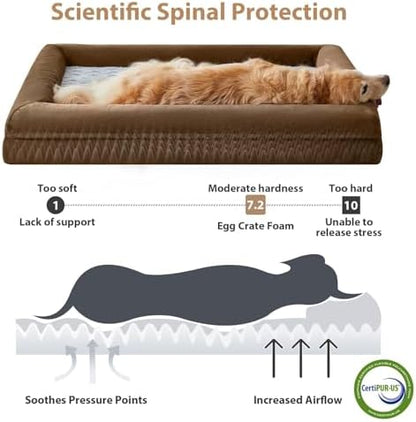 WNPETHOME XL Extra Large Orthopedic - Image 3