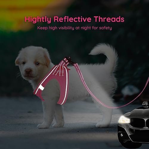 BELLA & PAL Step in Puppy Harness and Leash Set - Image 5