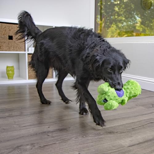 FurHaven Orthopedic Dog Bed & goDog Toy - Image 6