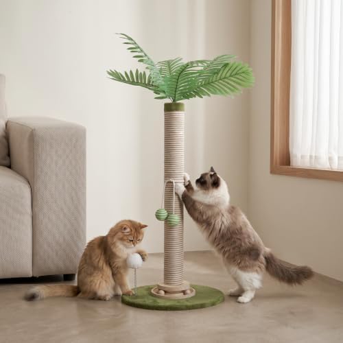 Cat Scratching Post 34 Inch - Image 2