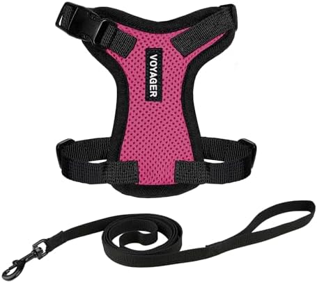 Voyager Step-in Lock Cat Harness & Leash Set by BestPetSuppliesLLC