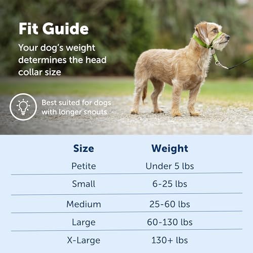 PetSafe Gentle Leader No-Pull Dog Headcollar - Image 5