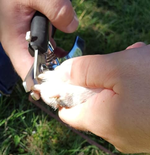 Resco Professional Dog Nail Clippers - Image 3