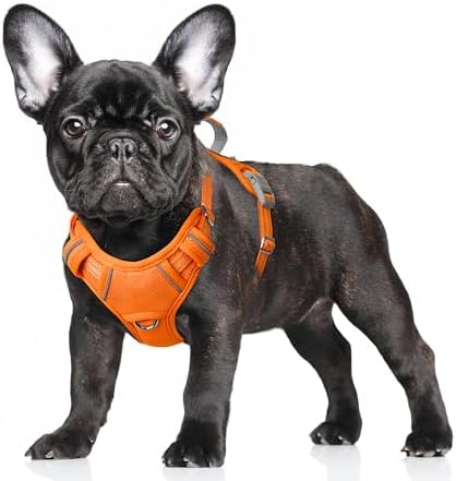 BARKBAY No Pull Dog Harness Large Reflective Dog Harness by BARKBAY