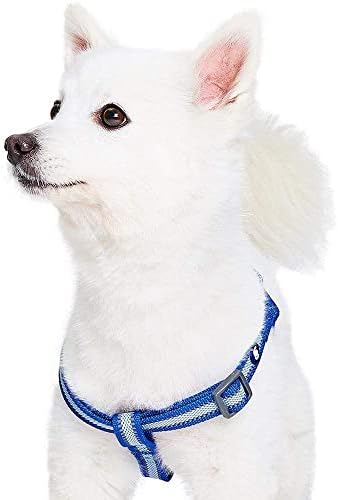 Blueberry Pet Essentials Step-in Reflective Back to Basics Dog Harness - Image 3