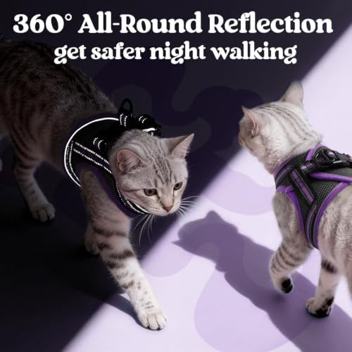 rabbitgoo Cat Harness and Leash Set, Step-in Soft Vest - Image 5