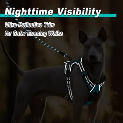 BARKBAY Dog Harness for Large Dog No Pull 2 Leash Clips Dog Vest - Image 5
