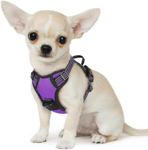 Eagloo Dog Harness for Small Dogs, No Pull Pet Vest by GoExplorewithEagloo