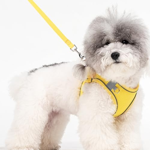 Dog Harness for Small Medium Sized Dog, Puppy Harness and Leash Set Training - Image 2
